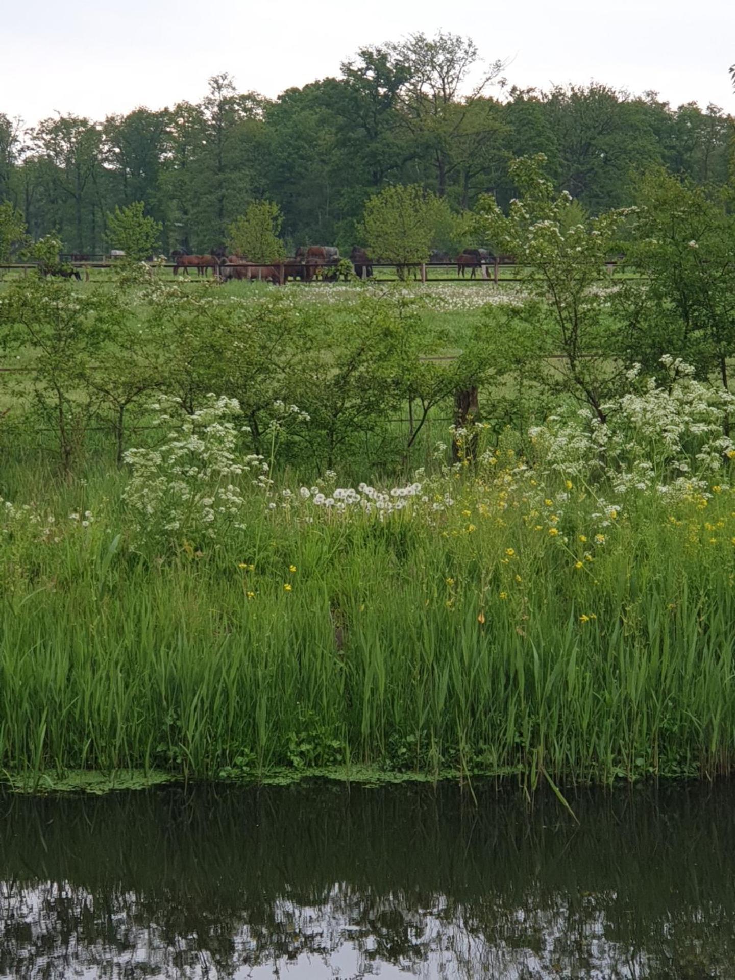 Bed and Breakfast Landgoed De Lavei Weleveld Zewnętrze zdjęcie