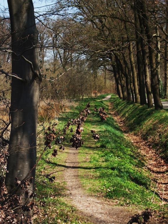 Bed and Breakfast Landgoed De Lavei Weleveld Zewnętrze zdjęcie