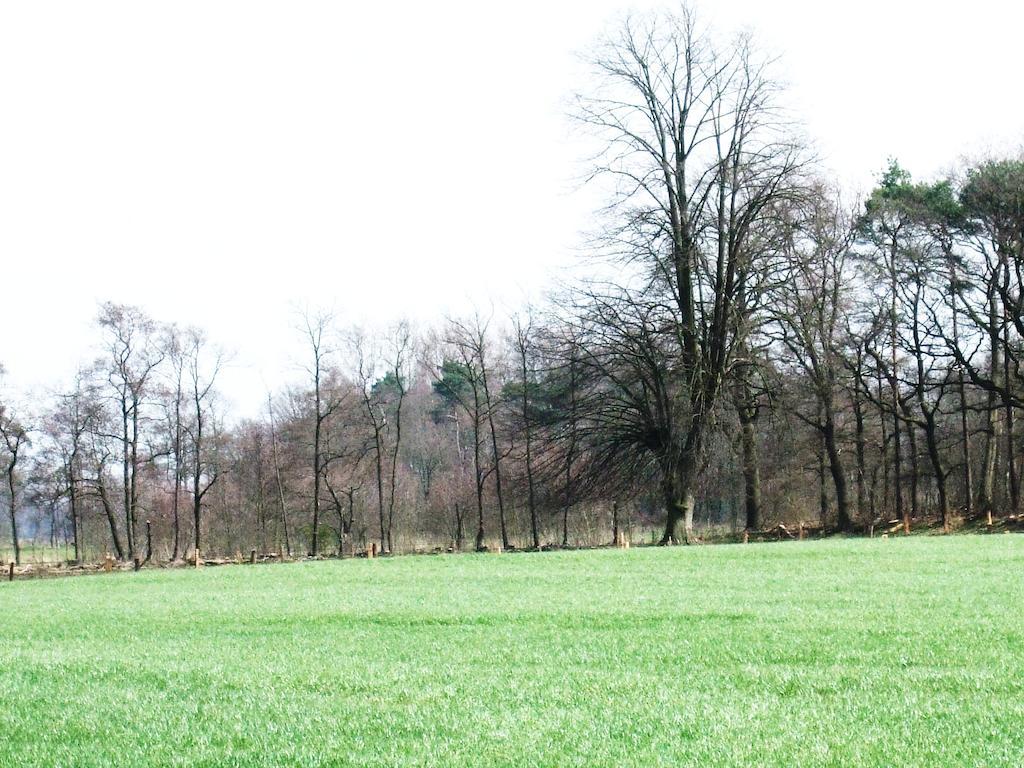 Bed and Breakfast Landgoed De Lavei Weleveld Zewnętrze zdjęcie