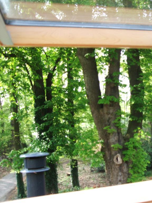 Bed and Breakfast Landgoed De Lavei Weleveld Pokój zdjęcie